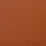 Charlotte - V118 - Saddle - Fabric by the Yard