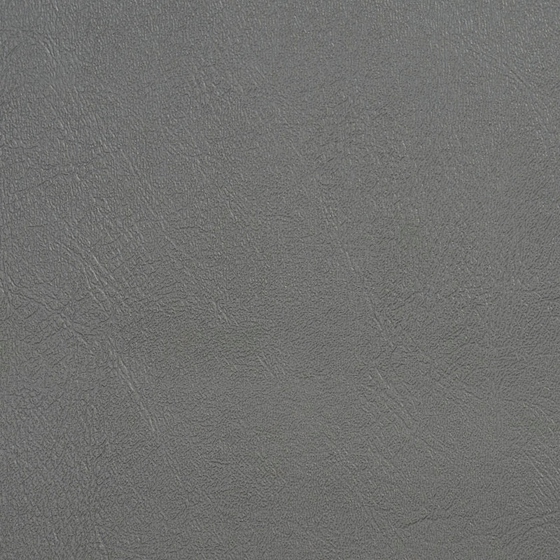 Charlotte - V123 - Graphite - Fabric by the Yard Graphite