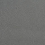 Charlotte - V123 - Graphite - Fabric by the Yard