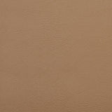 Charlotte - V125 - Dune - Fabric by the Yard