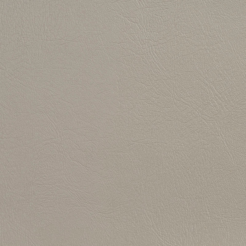 Charlotte - V130 - Zinc - Fabric by the Yard Zinc
