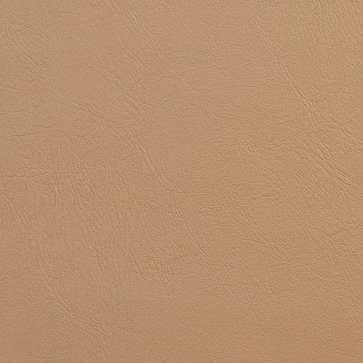 Charlotte - V139 - Buff - Fabric by the Yard Buff