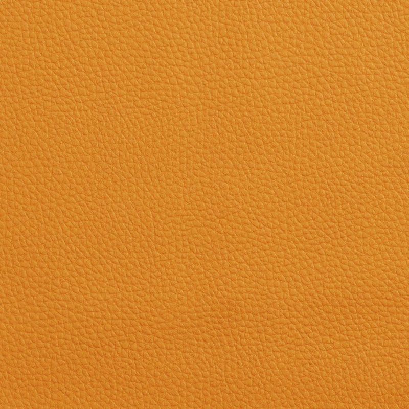 Charlotte - V151 - Mango - Fabric by the Yard Mango