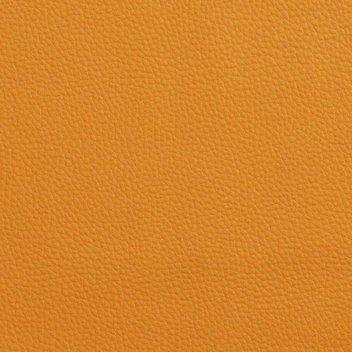Charlotte - V151 - Mango - Fabric by the Yard Mango
