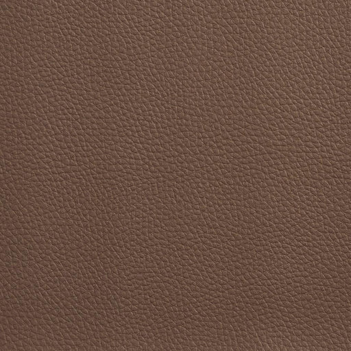 Charlotte - V155 - Cocoa - Fabric by the Yard Cocoa