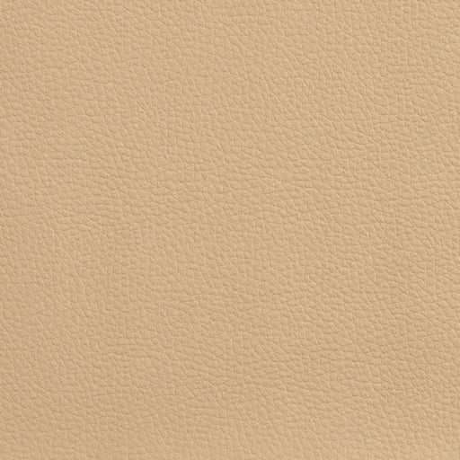 Charlotte - V156 - Sand - Fabric by the Yard Sand