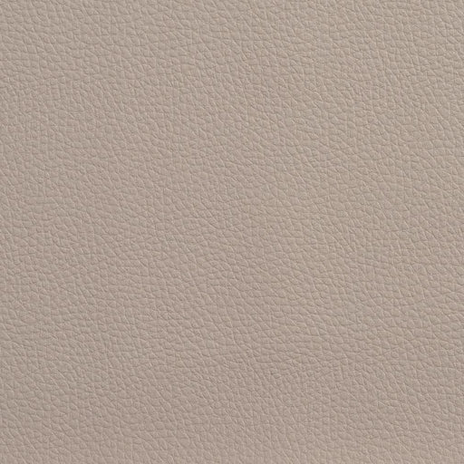 Charlotte - V157 - Taupe - Fabric by the Yard Taupe
