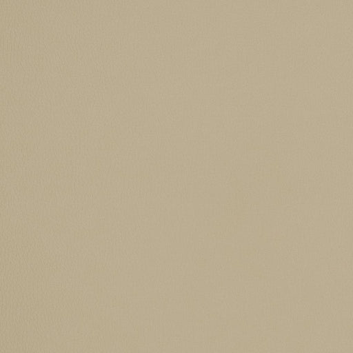 Charlotte - V159 - Khaki - Fabric by the Yard Khaki