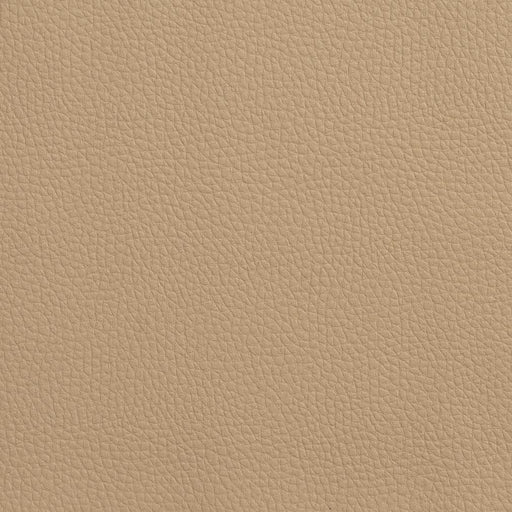 Charlotte - V160 - Desert - Fabric by the Yard Desert