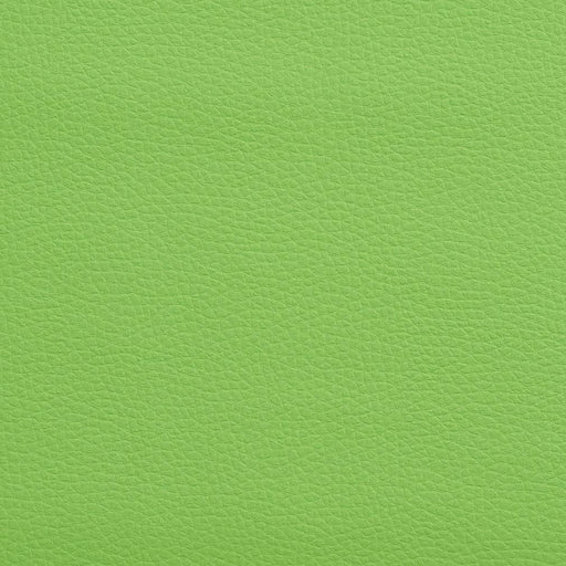Charlotte - V164 - Lime - Fabric by the Yard Lime