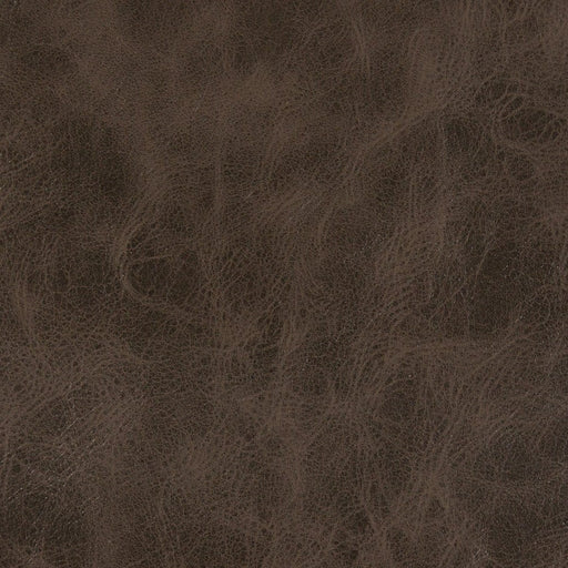 Charlotte - V201 - Java - Fabric by the Yard Java