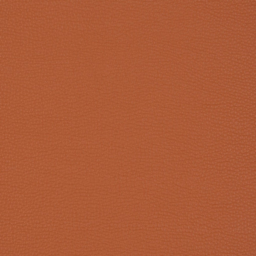 Charlotte - V203 - Sienna - Fabric by the Yard Sienna