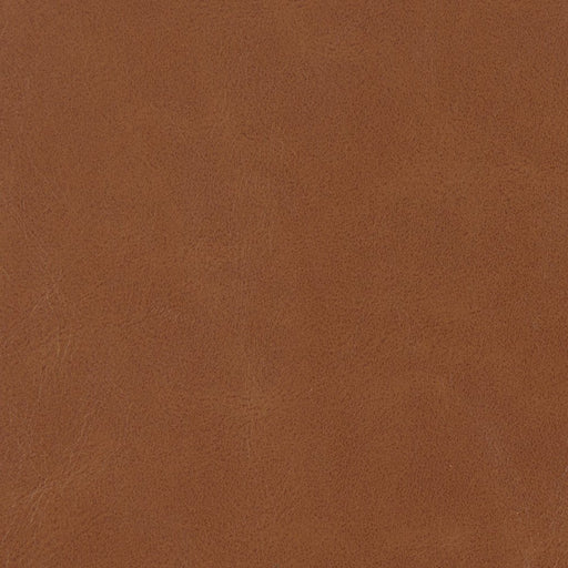 Charlotte - V205 - Pecan - Fabric by the Yard Pecan