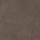 Charlotte - V208 - Raw Umber - Fabric by the Yard