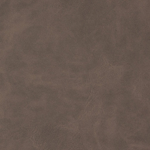 Charlotte - V208 - Raw Umber - Fabric by the Yard Raw Umber