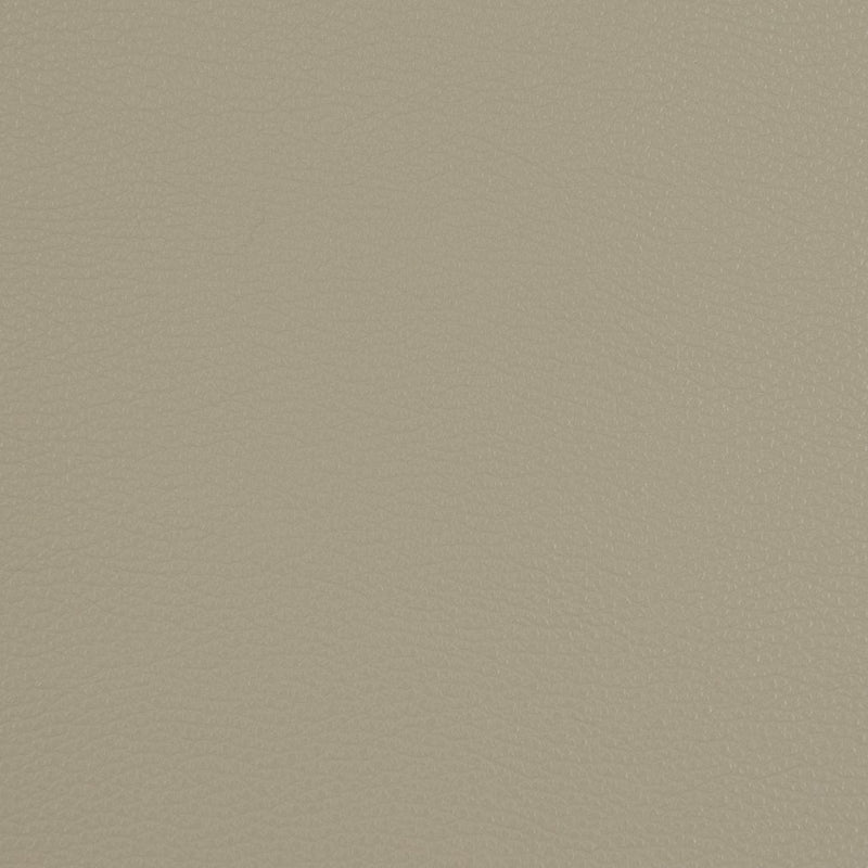Charlotte - V209 - Pewter - Fabric by the Yard Pewter