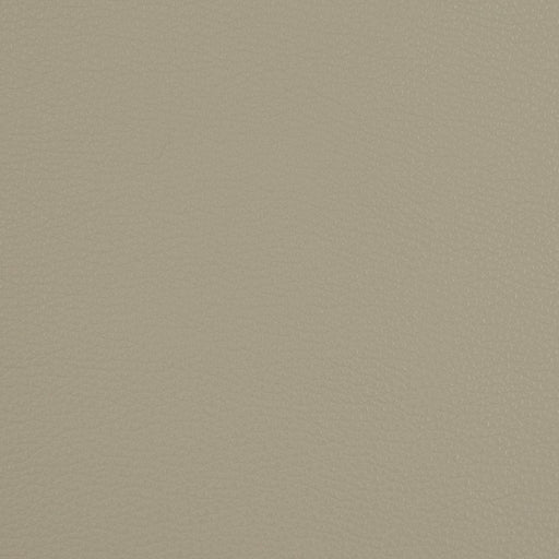 Charlotte - V209 - Pewter - Fabric by the Yard Pewter