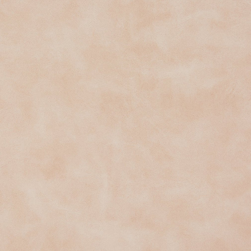 Charlotte - V210 - Blush - Fabric by the Yard Blush