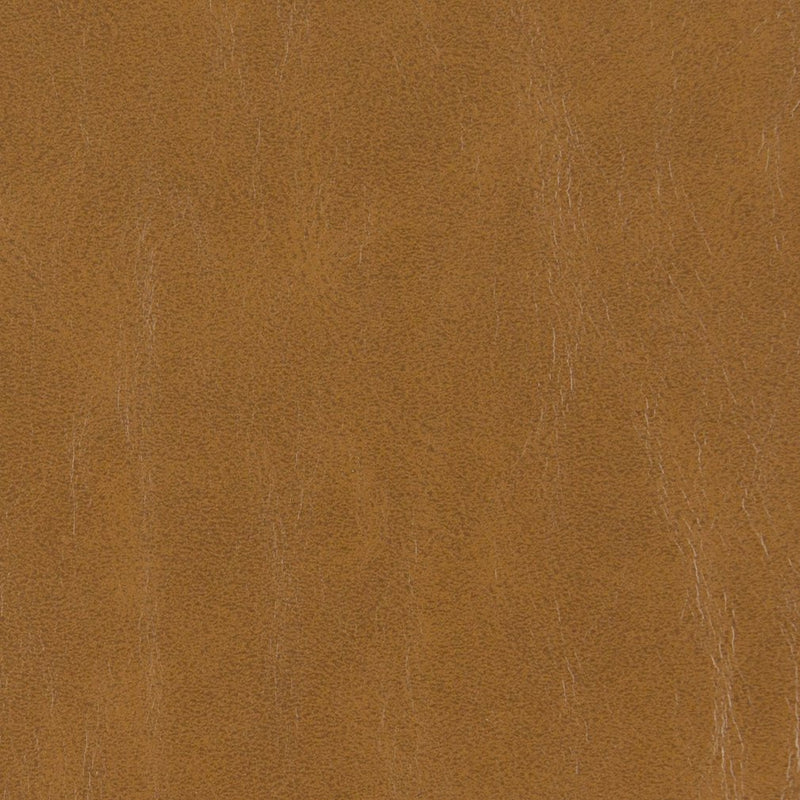 Charlotte - V214 - Hazelnut - Fabric by the Yard Hazelnut