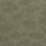 Charlotte - V215 - Mountain - Fabric by the Yard