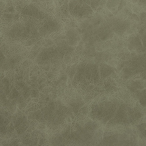 Charlotte - V215 - Mountain - Fabric by the Yard Mountain