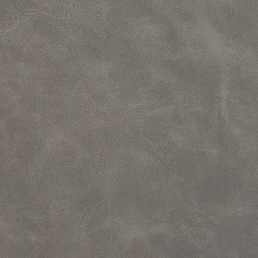 Charlotte - V218 - Slate - Fabric by the Yard Slate