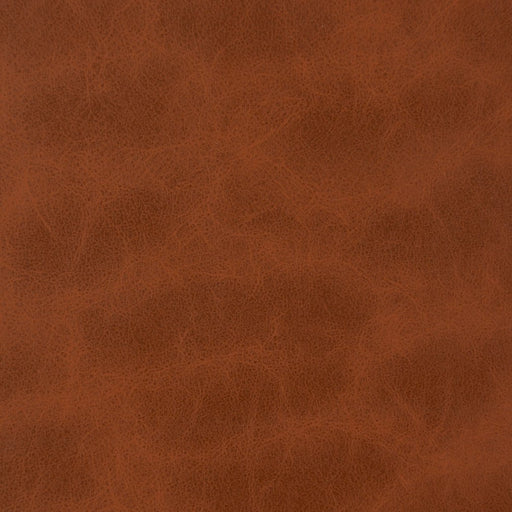 Charlotte - V221 - Cinnamon - Fabric by the Yard Cinnamon