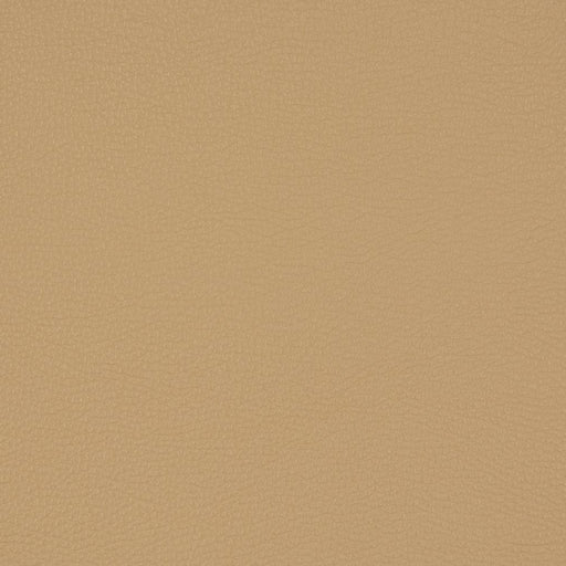 Charlotte - V222 - Fawn - Fabric by the Yard Fawn