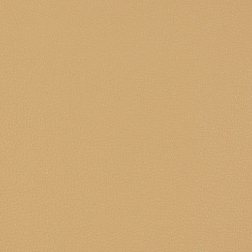 Charlotte - V229 - Beach - Fabric by the Yard Beach