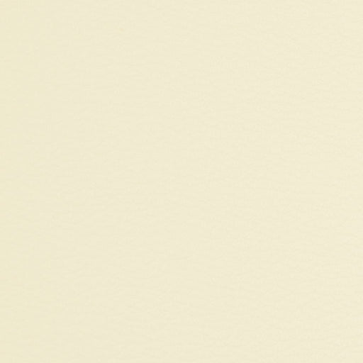 Charlotte - V230 - Eggshell - Fabric by the Yard Eggshell