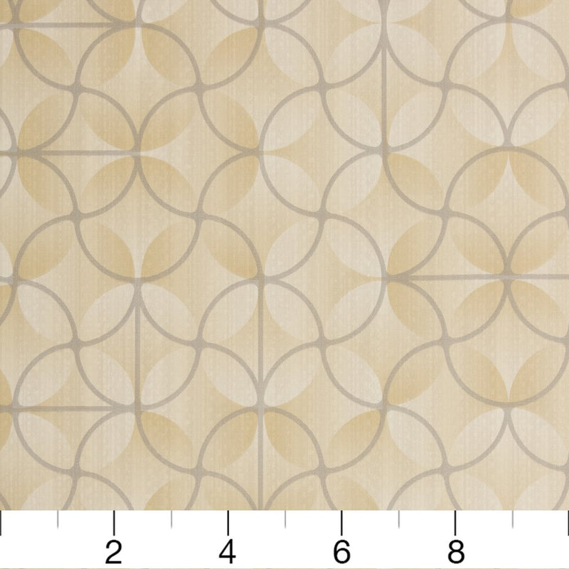Charlotte - V272 - Champagne - Fabric by the Yard - V272 - V272_Ruler