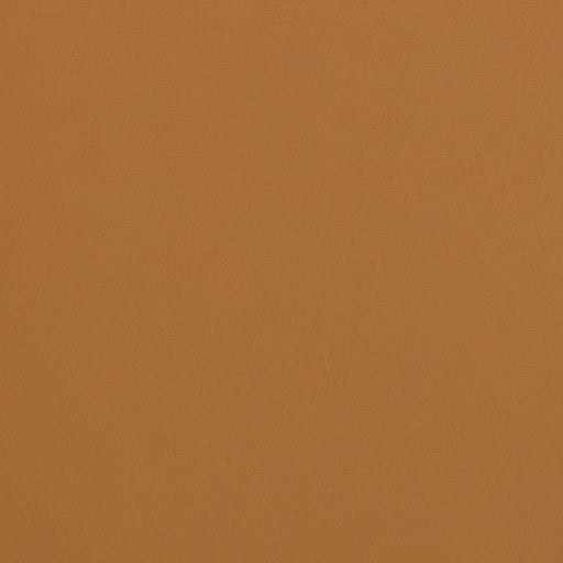 Charlotte - V280 - Sable - Fabric by the Yard Sable