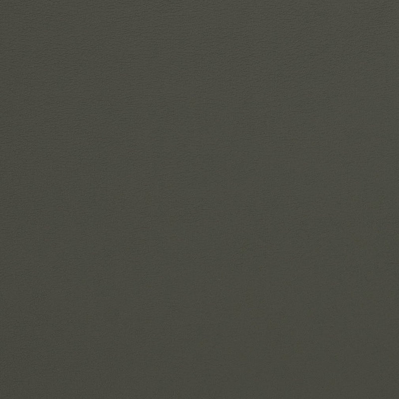Charlotte - V281 - Charcoal - Fabric by the Yard Charcoal
