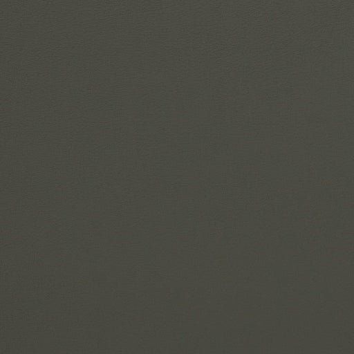 Charlotte - V281 - Charcoal - Fabric by the Yard Charcoal