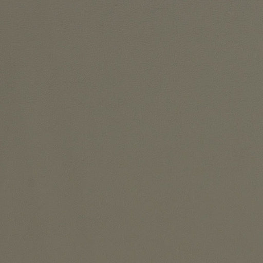 Charlotte - V287 - Pewter - Fabric by the Yard Pewter