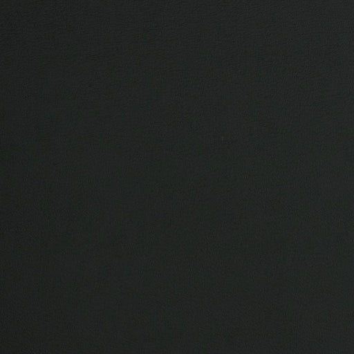 Charlotte - V297 - Black - Fabric by the Yard Black