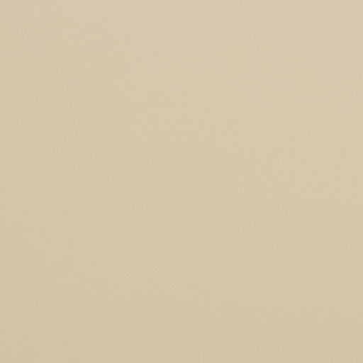 Charlotte - V298 - Bone - Fabric by the Yard Bone