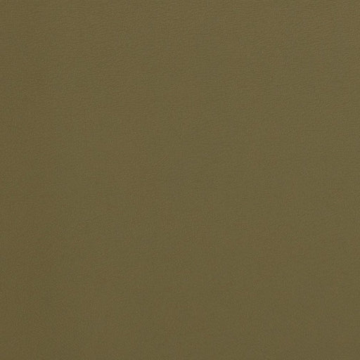 Charlotte - V300 - Olive - Fabric by the Yard Olive