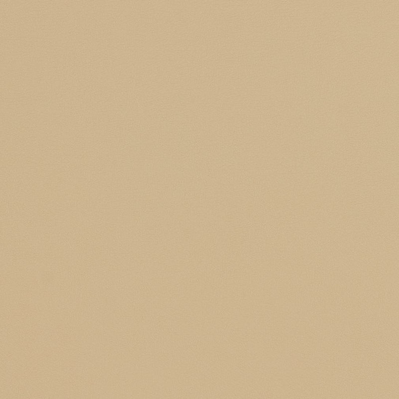 Charlotte - V301 - Natural - Fabric by the Yard Natural