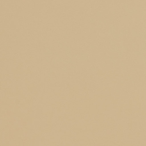 Charlotte - V301 - Natural - Fabric by the Yard Natural