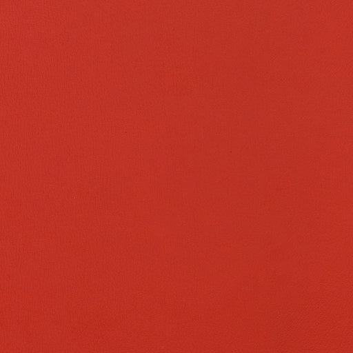 Charlotte - V305 - Poppy - Fabric by the Yard Poppy
