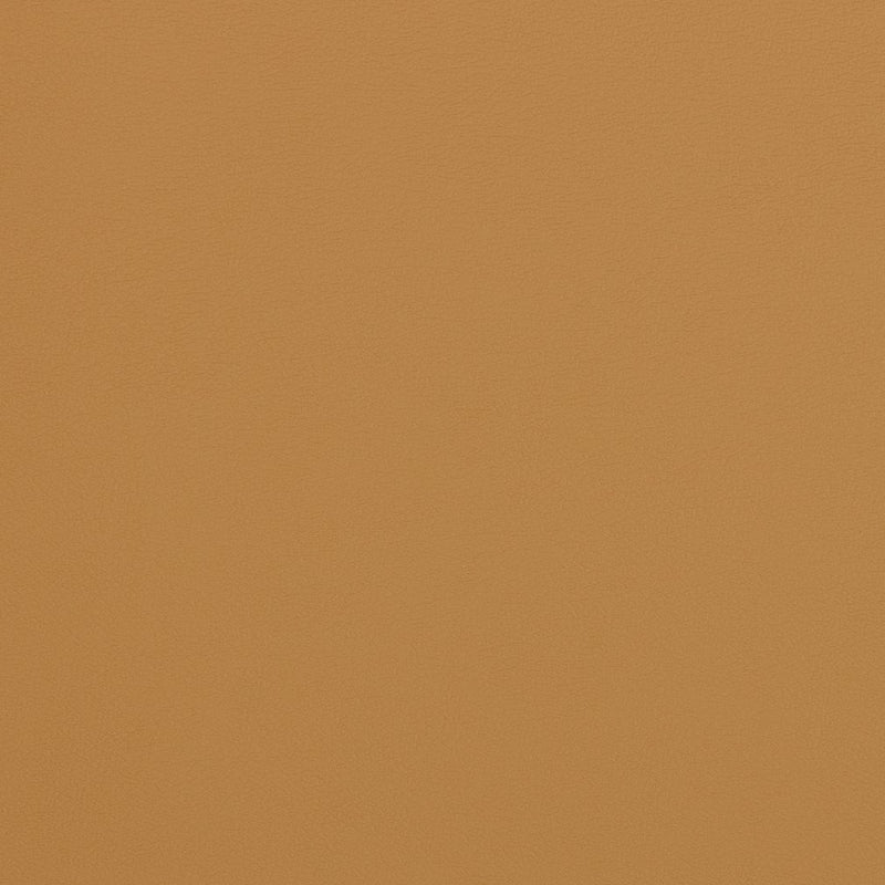 Charlotte - V306 - Palomino - Fabric by the Yard Palomino