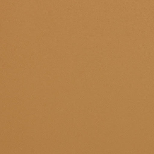 Charlotte - V306 - Palomino - Fabric by the Yard Palomino
