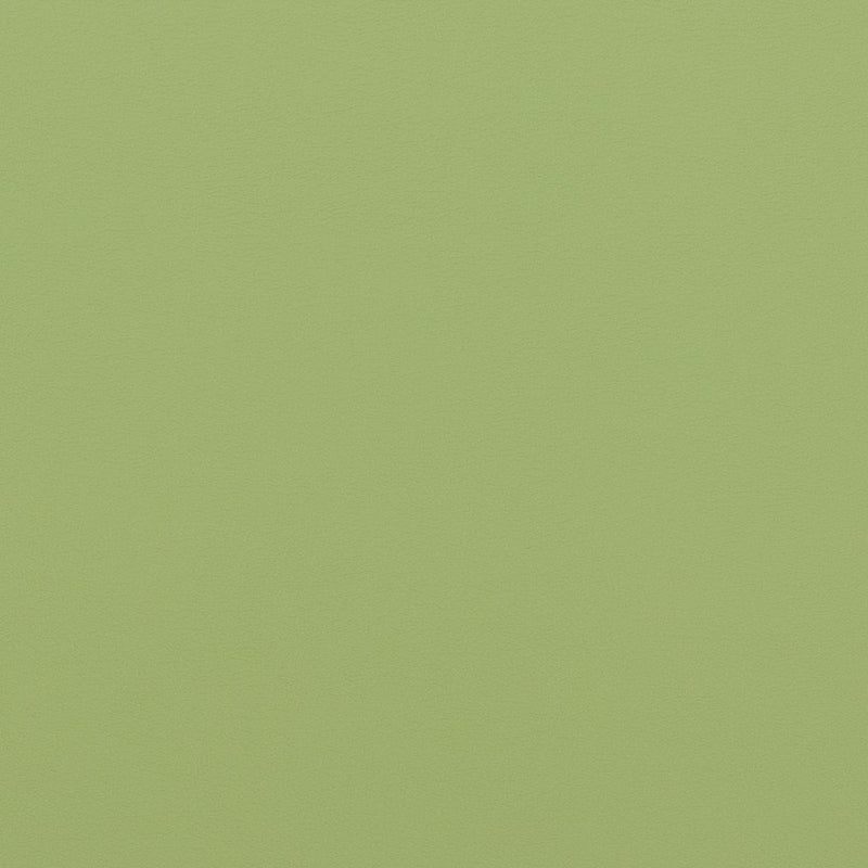 Charlotte - V307 - Meadow - Fabric by the Yard Meadow