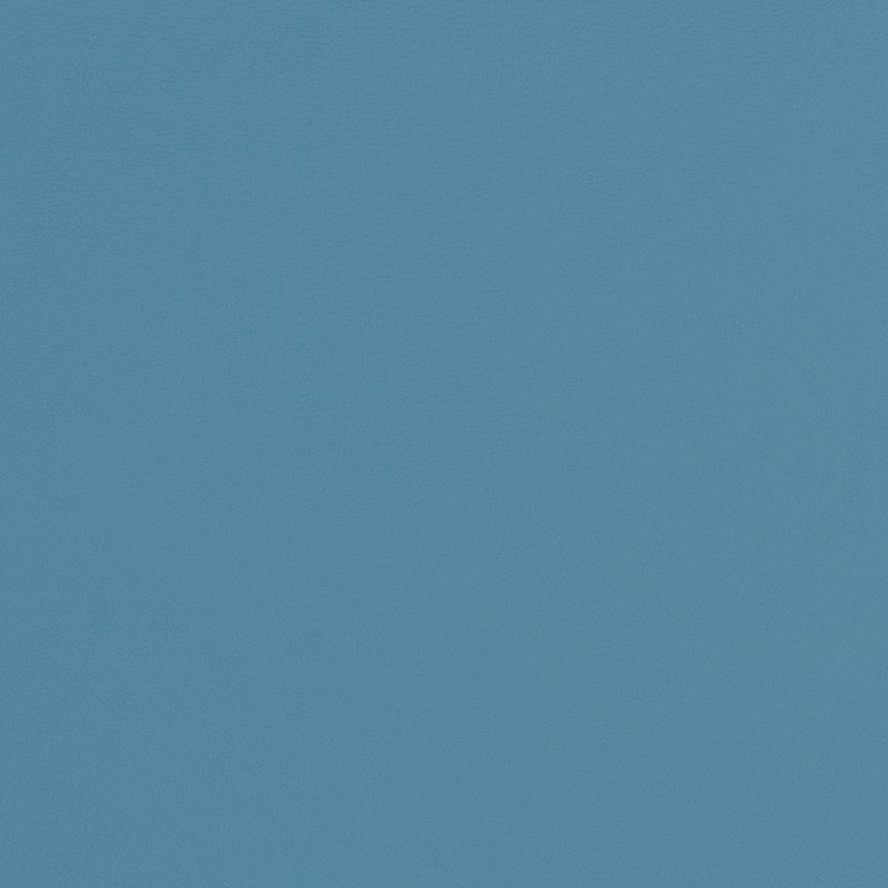 Charlotte - V309 - Sky - Fabric by the Yard Sky