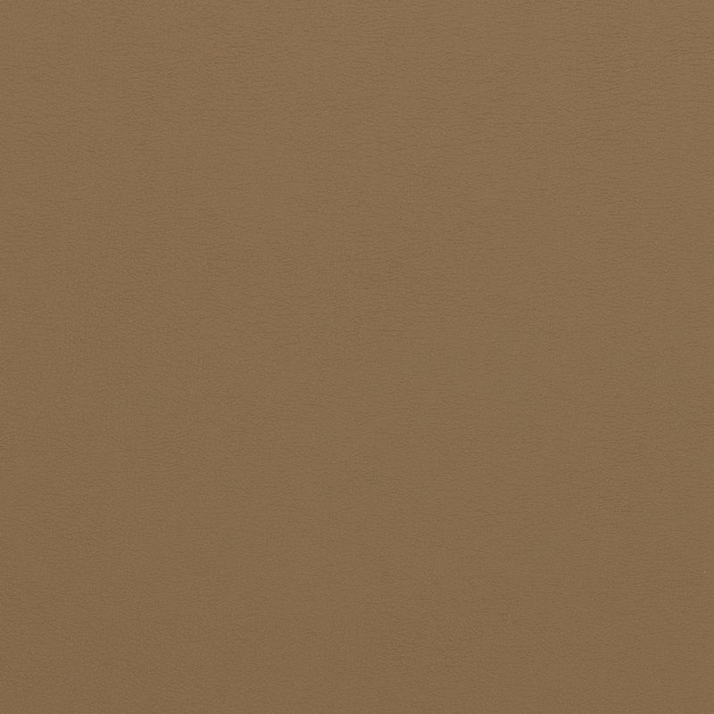 Charlotte - V310 - Latte - Fabric by the Yard Latte