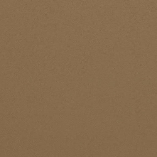 Charlotte - V310 - Latte - Fabric by the Yard Latte