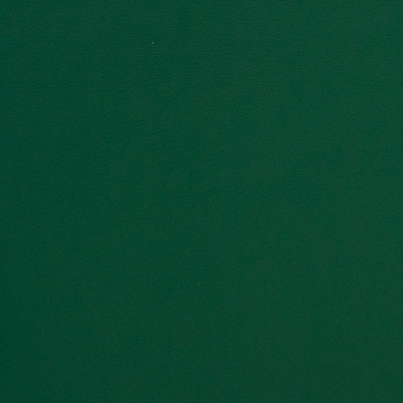 Charlotte - V312 - Evergreen - Fabric by the Yard Evergreen