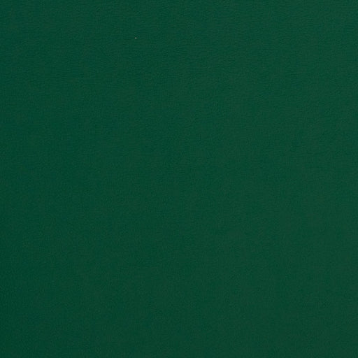 Charlotte - V312 - Evergreen - Fabric by the Yard Evergreen