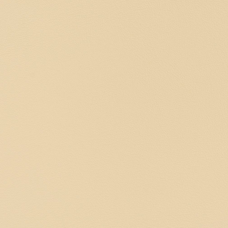 Charlotte - V333 - Cream - Fabric by the Yard Cream